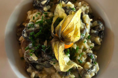 Salade de blettes et Petits gris de Namur