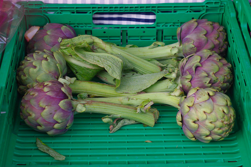 artichaut primeur