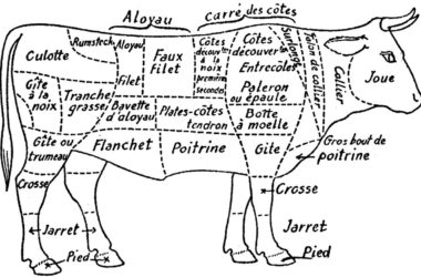 Quels sont les morceaux les plus tendres du bœuf pour un barbecue