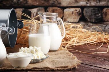 Perte de poids : Par quels autres ingrédients remplacer la crème fraiche lorsque l'on cuisine ? le lait ? le fromage blanc ? les yaourts ? les laits végétaux ?