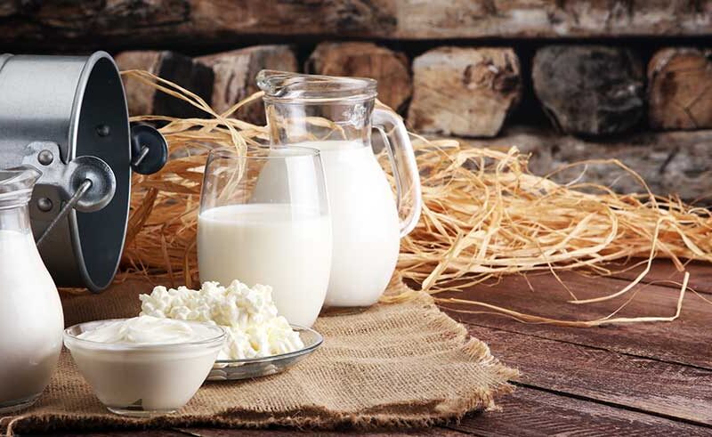 Perte de poids : Par quels autres ingrédients remplacer la crème fraiche lorsque l'on cuisine ? le lait ? le fromage blanc ? les yaourts ? les laits végétaux ?