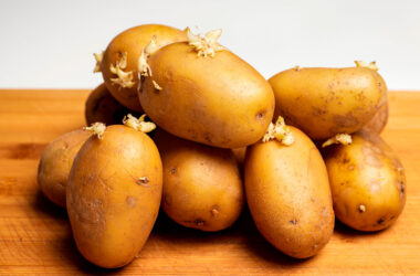 consommer des pommes de terre germées